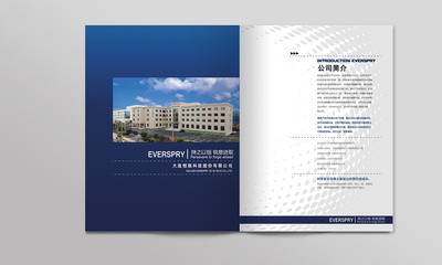大连恒瑞科技企业宣传画册设计——以专业设计讲述企业故事